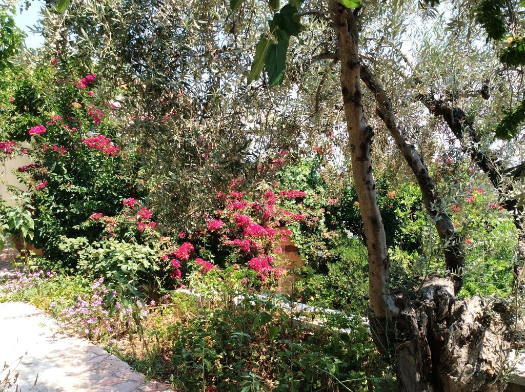 Angelica Villas Hotel Apartments Epidaurus Exterior foto